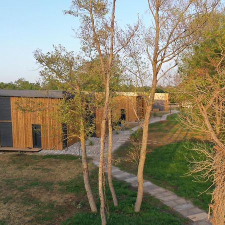 Salinas Nest - Ulcinj Stoj Ada Bojana Villa Luaran gambar